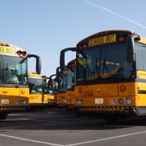 Buses ready for transportation