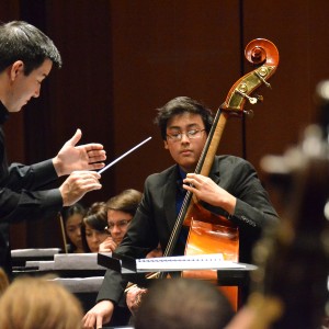 A cellist concentrates