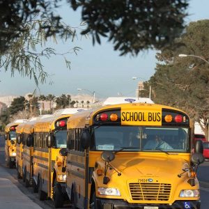 Buses in a line