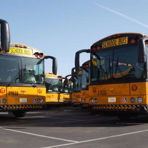 Buses parked in the yard