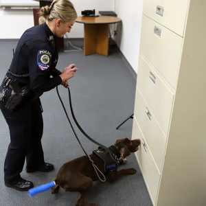 A K-9 officer demonstrates sniffing abilities