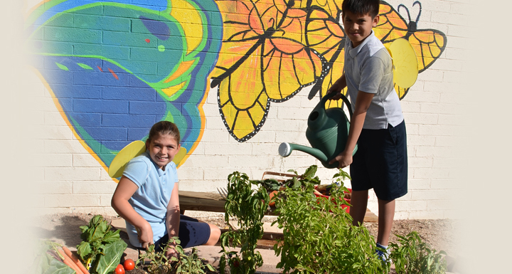 Students water a plant