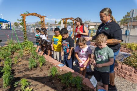 Students at Harvey N. Dondero Elementary School work in the school garden.