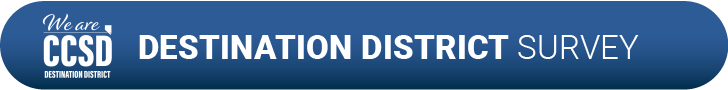 Destination District Strategic Survey